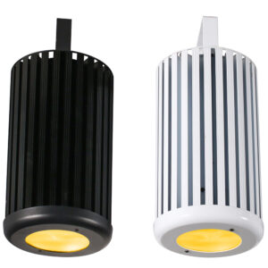 DMX LED House Light