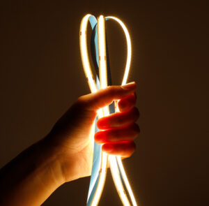 Tunable White COB LED Strip CCT Light